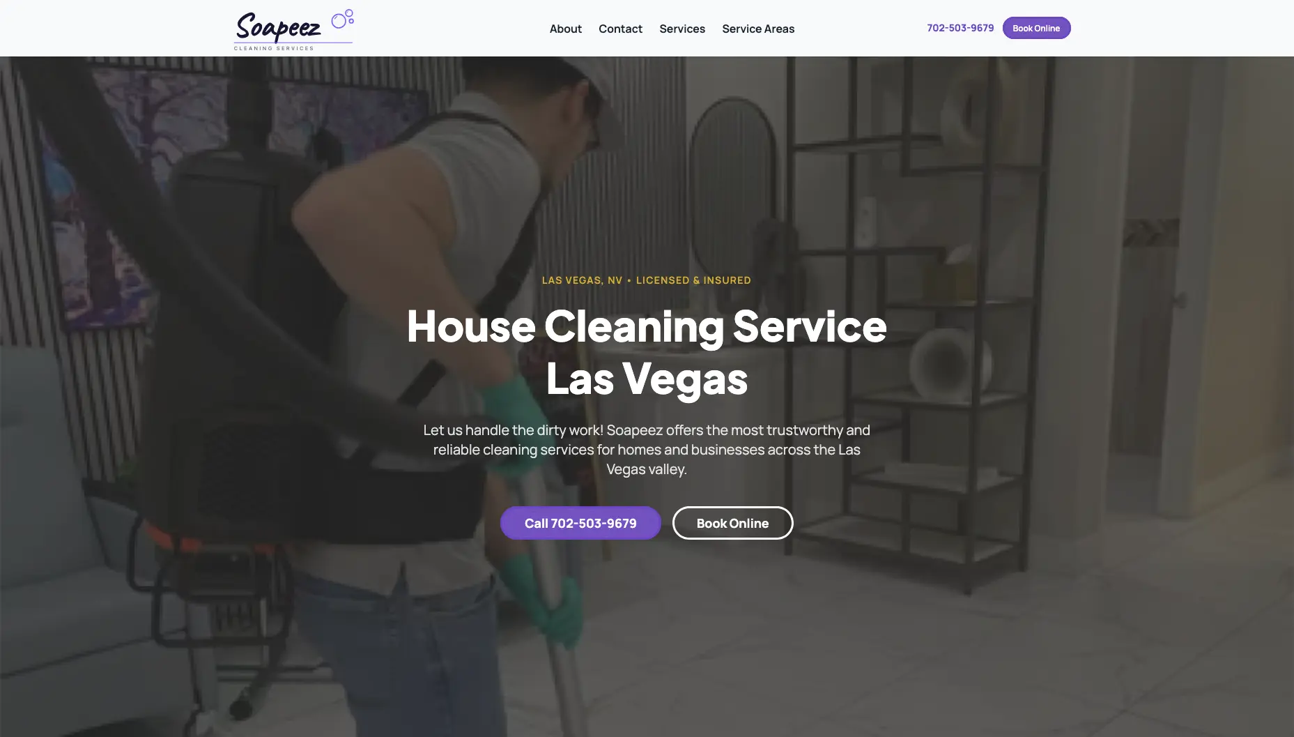 Soapeez Cleaning Services website